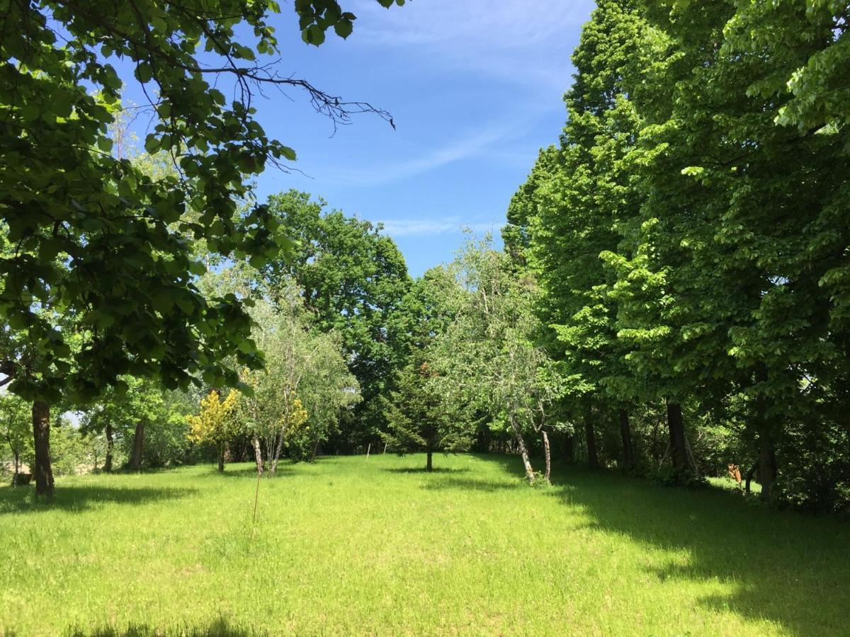 Happy Hill - Appartamento Bambu- Natura E Relax Santa Maria Rocca Екстер'єр фото